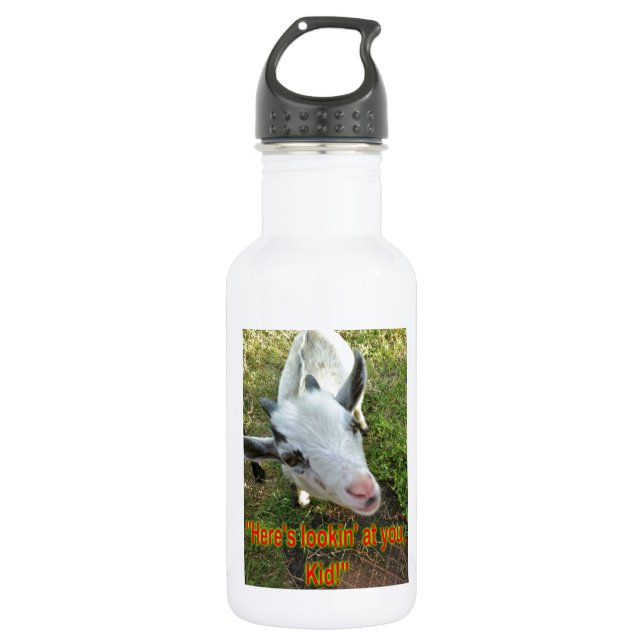 Here's lookin' at you, Kid! 532 Ml Water Bottle (Front)