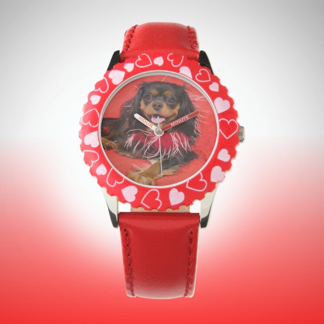 Here's Looking At Me! Cavalier King Charles Watch (Creator Uploaded)