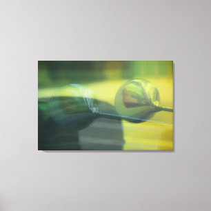 Here's Looking At You 2013 photograph Canvas Print