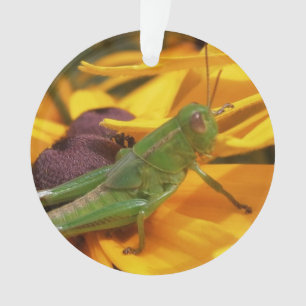 Here's Looking at You - Grasshopper Ornament
