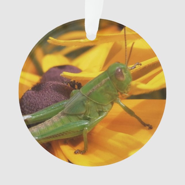 Here's Looking at You - Grasshopper Ornament (Front)