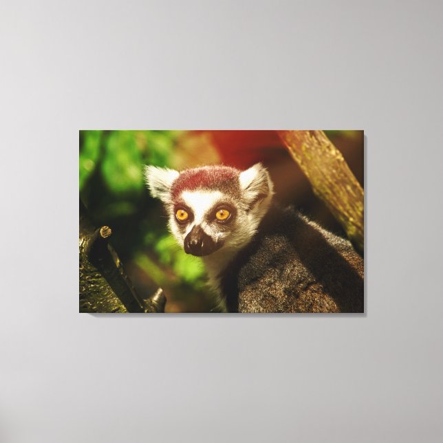 Here's looking at you kid canvas print (Front)