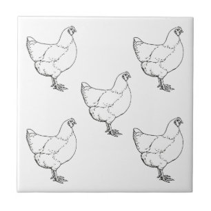 Heritage Breed Chickens Flock - 5 Hens Tile