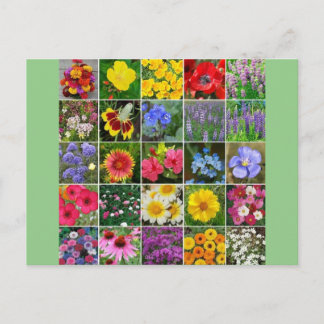 Heritage Flowers - USA Postcard