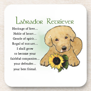 Heritage Yellow Lab Puppy Gifts Coaster