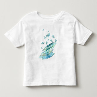 Herkimer Diamond Crystals T-Shirt