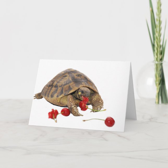 Hermann Tortoise and Strawberries Card (Front)