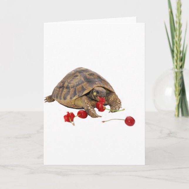 Hermann Tortoise and Strawberries Card (Front)