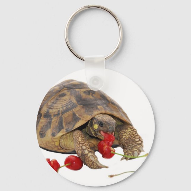 Hermann Tortoise and Strawberries Key Ring (Front)
