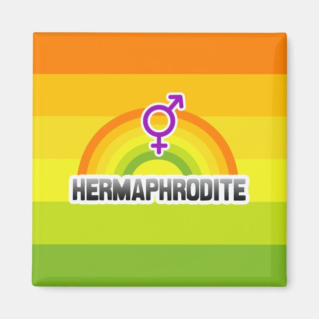 HERMAPHRODITE RAINBOW MAGNET (Front)