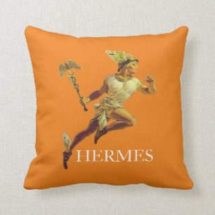 HERMES CUSHION