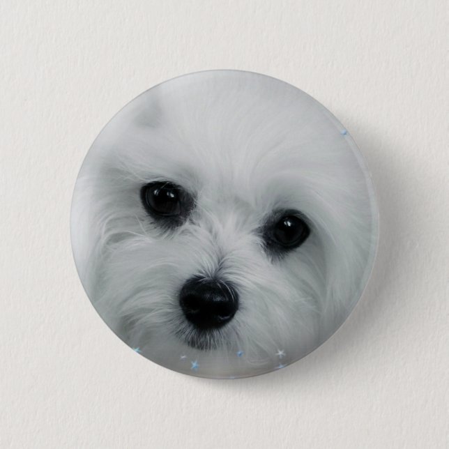 Hermes the Maltese 6 Cm Round Badge (Front)