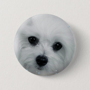 Hermes the Maltese 6 Cm Round Badge