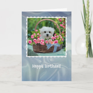 Hermes the Maltese Birthday Card
