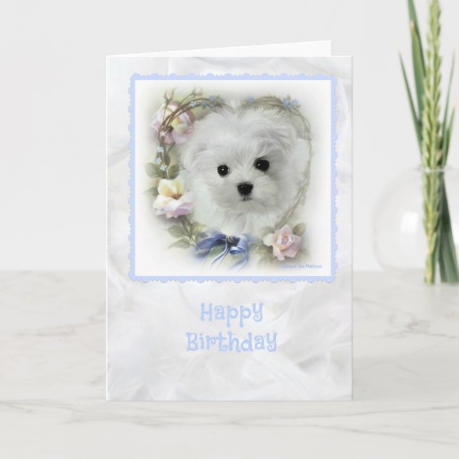 Hermes the Maltese Birthday Card (Front)