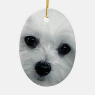 Hermes the Maltese Ceramic Tree Decoration