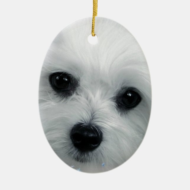 Hermes the Maltese Ceramic Tree Decoration (Front)