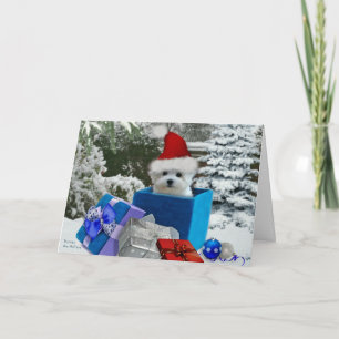 Hermes the Maltese Christmas Greeting Card
