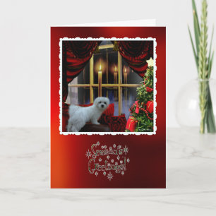 Hermes the Maltese Christmas Greeting Card