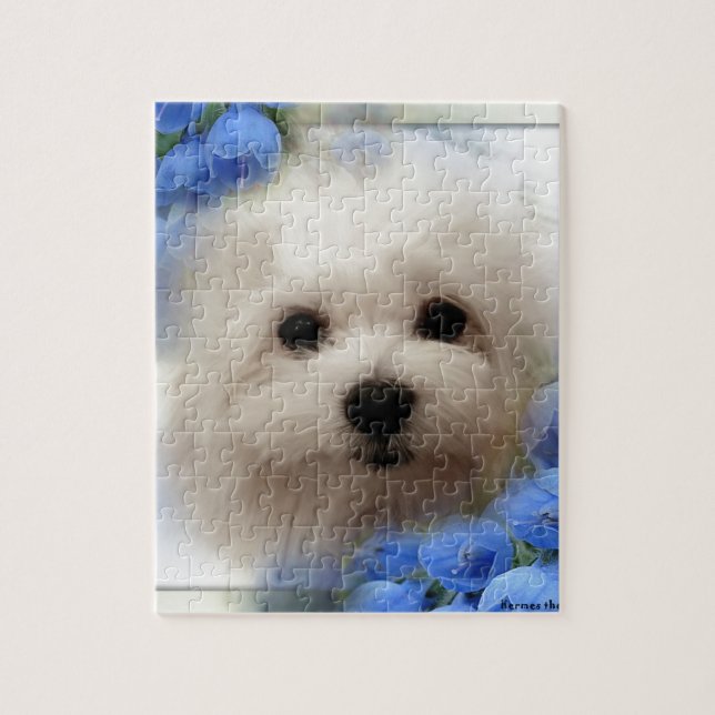 Hermes the Maltese Jigsaw Puzzle (Vertical)