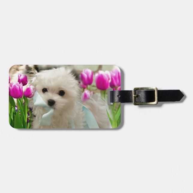 Hermes the Maltese Luggage Tag (Front Horizontal)