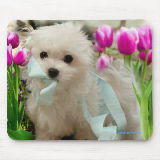 Hermes the Maltese Mouse Mat
