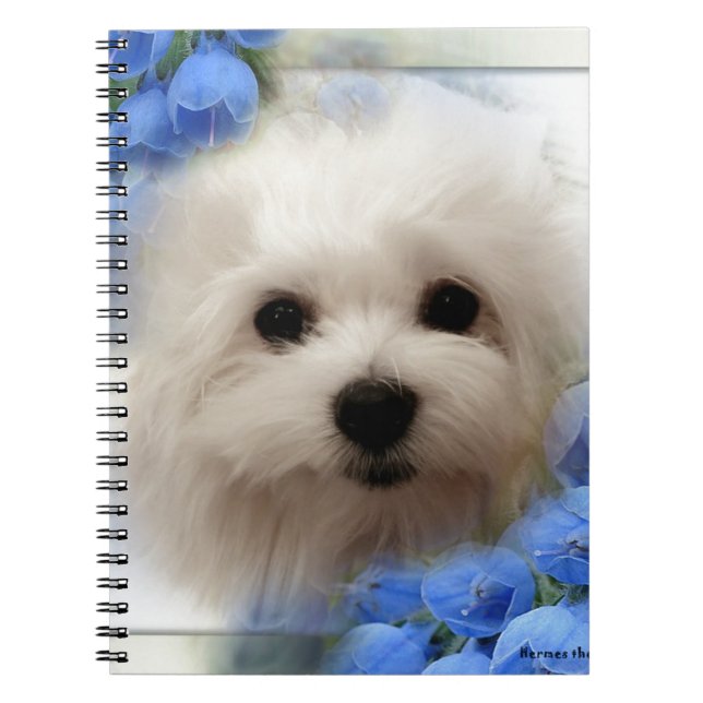 Hermes the Maltese Notebook (Front)