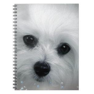 Hermes the Maltese Notebook