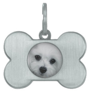 Hermes the Maltese Pet Name Tag