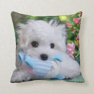 Hermes the Maltese Pillow/Cushion Cushion
