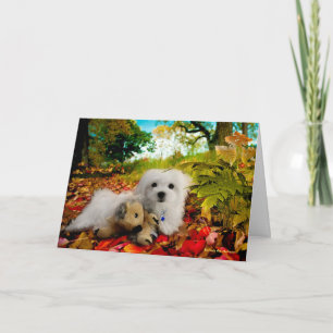 Hermes the Maltese Thanksgiving Greeting Card