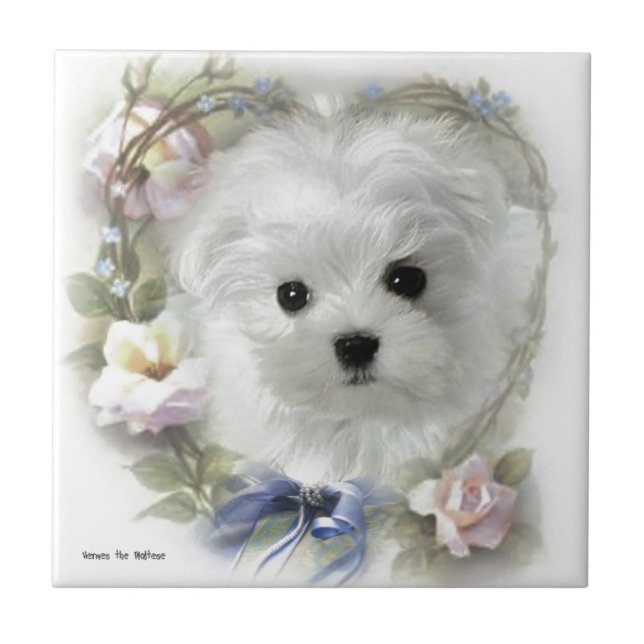 Hermes the Maltese Tile (Front)