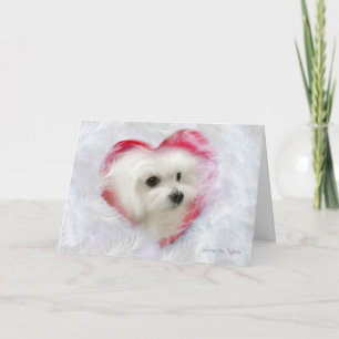 Hermes the Maltese Valentine Card