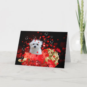 Hermes the Maltese Valentine Greeting Card