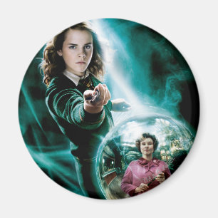 Hermione Granger and Professor Umbridge Magnet