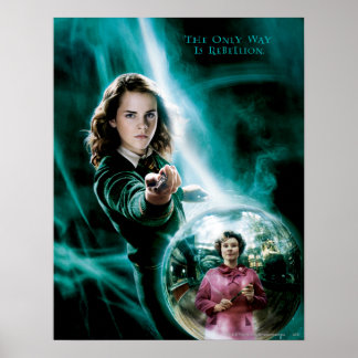 Hermione Granger and Professor Umbridge Poster