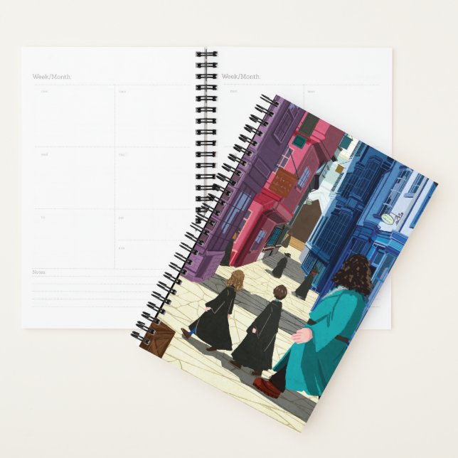 Hermione, HARRY POTTER™, & Hagrid in Diagon Alley Planner (Display)