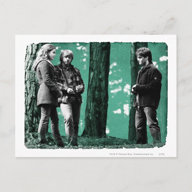 Hermione, Ron, and Harry 1 Postcard (Front)