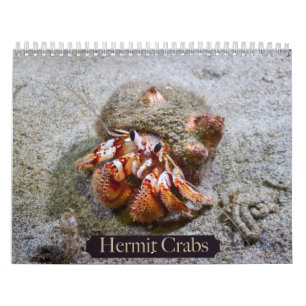Hermit Crab Calendar