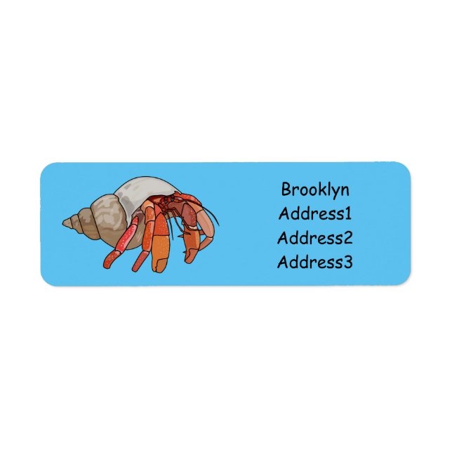 Hermit crab cartoon illustration (Front)