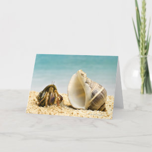 Hermit crab looking at larger shell card