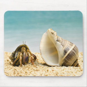 Hermit crab looking at larger shell mouse mat