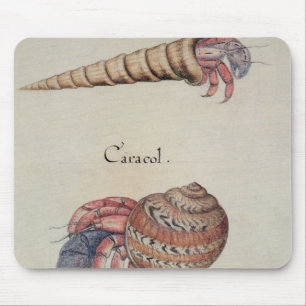 Hermit Crab Mouse Mat