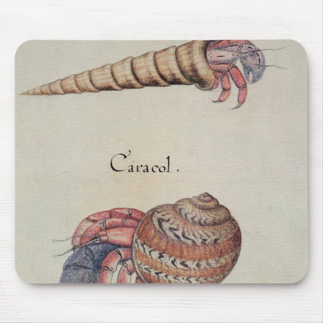 Hermit Crab Mouse Mat (Front)
