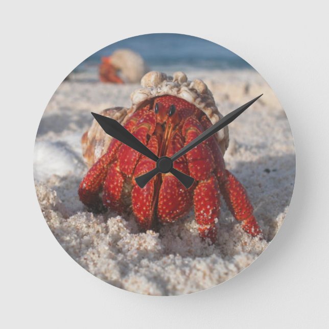 Hermit Crab Round Clock (Front)