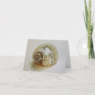 Hermit Crab shell - Blank Greeting Card