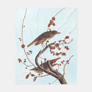 Hermit Thrush Audubon Bird with Red Berries Fleece Blanket