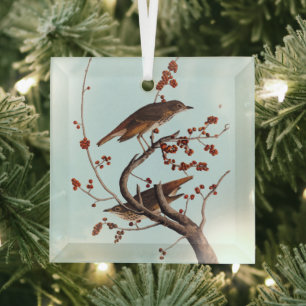 Hermit Thrush Audubon Bird with Red Berries Glass Tree Decoration