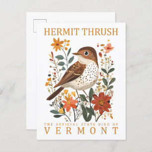 Hermit Thrush Bird of Vermont Travel Postcard