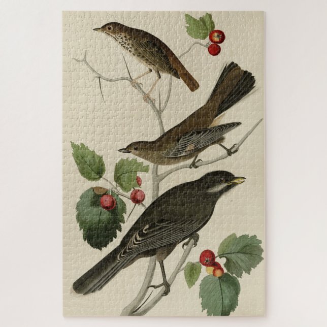 Hermit Thrush, Grey Jay Audubon's Birds of America Jigsaw Puzzle (Vertical)